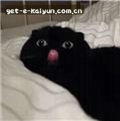 吴磊